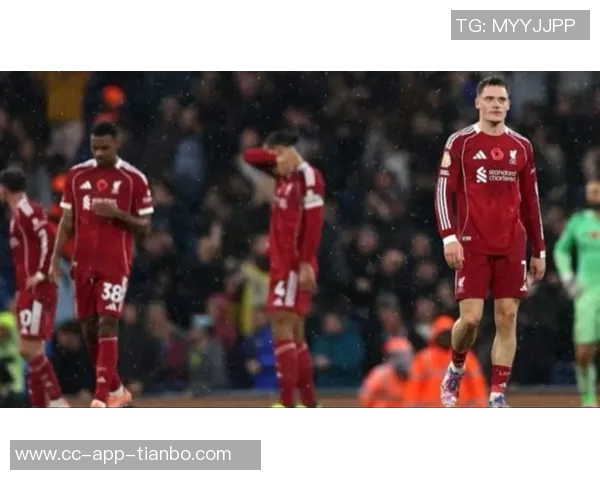 鲁尼赞维尔茨进步显著认为他只需时间适应英超环境